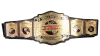 TNA World Tag Team Championship TNA World Tag Team Championship