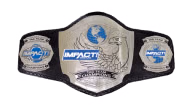 Impact World Tag Team Championship Impact World Tag Team Championship