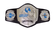 GFW World Tag Team Championship GFW World Tag Team Championship