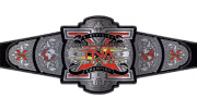TNA X Division Championship TNA X Division Championship