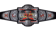 TNA X Division Championship