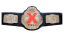 TNA X Division Championship