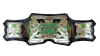 TNA X Division Championship