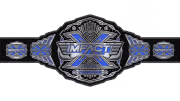 Impact X Division Championship Impact X Division Championship