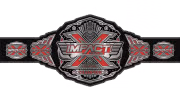 Impact X Division Championship Impact X Division Championship