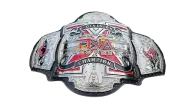 TNA X Division Championship
