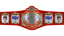USWA World Tag Team Championship
