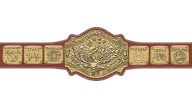 NWA World Tag Team Championship (Mid-Atlantic version)