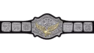 NWA World Tag Team Championship (Mid-Atlantic version)