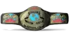 WCW World Tag Team Championship