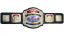WCW World Television Championship