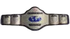 WCW World Television Championship