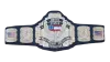 WCW United States Heavyweight Championship