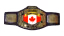 WWE United States Championship