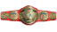 WCW United States Tag Team Championship