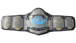 NWA World Tag Team Championship