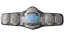 NWA World Tag Team Championship