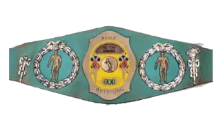 NWA World Tag Team Championship