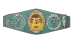 WCW World Tag Team Championship