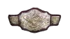 NWA World Tag Team Championship