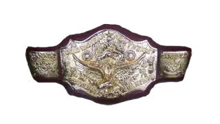 NWA World Tag Team Championship