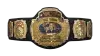 WCW World Tag Team Championship