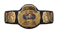 WCW World Tag Team Championship