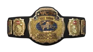 WCW World Tag Team Championship
