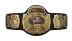 WCW World Tag Team Championship