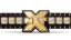 NXT Championship