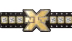 NXT Championship