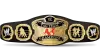 World Tag Team Championship World Tag Team Championship