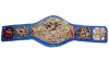 WWWF World Tag Team Championship