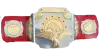 WWF Tag Team Championship