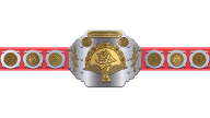 WWF Tag Team Championship WWF Tag Team Championship
