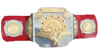 WWF World Tag Team Championship