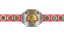 World Tag Team Championship