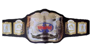 WWF Tag Team Championship