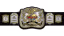 World Tag Team Championship