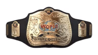 World Tag Team Championship World Tag Team Championship