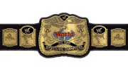 WWF Tag Team Championship WWF Tag Team Championship