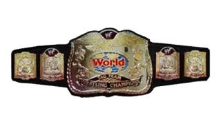 WWF Tag Team Championship
