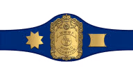 WWWF World Heavyweight Championship WWWF World Heavyweight Championship