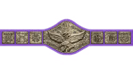 WWF Heavyweight Championship WWF Heavyweight Championship