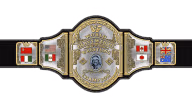 WWF World Heavyweight Championship (Hogan Belt) WWF World Heavyweight Championship (Hogan Belt)