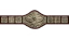 Undisputed WWE Championship