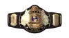 WWF Championship