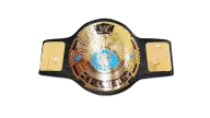 Undisputed WWF Championship