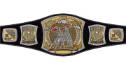 WWE Championship WWE Championship