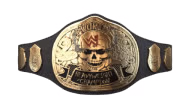WWF Championship (smoking skull - Steve Austin) WWF Championship (smoking skull - Steve Austin)